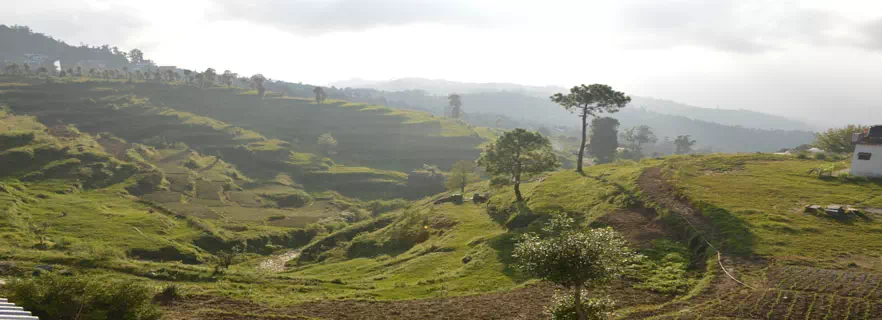family-gateways-travel-agents-Dhanachuli.webp