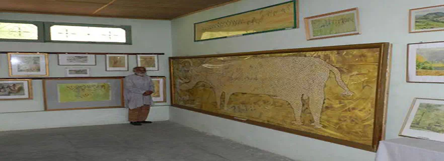 folk-cultural-museum.webp