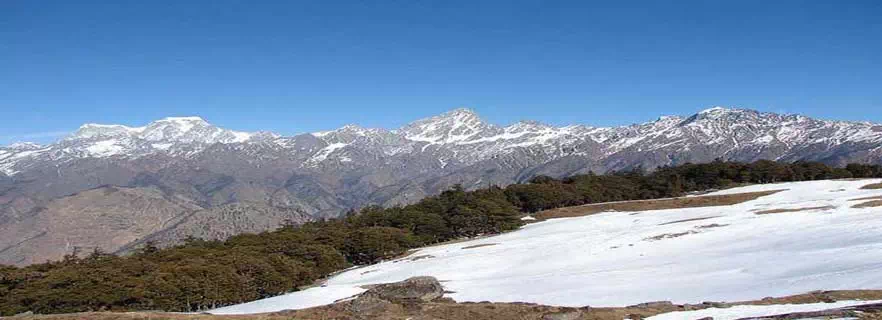 gopeshwar-nature.webp