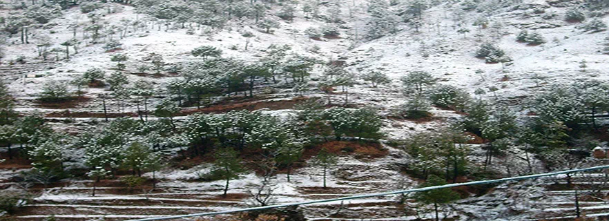 habban-valley-barog.webp