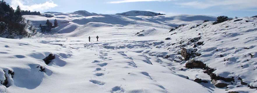 heavy-snowfall-in-hills-rain-likely-over-weekend-and-other-news.webp