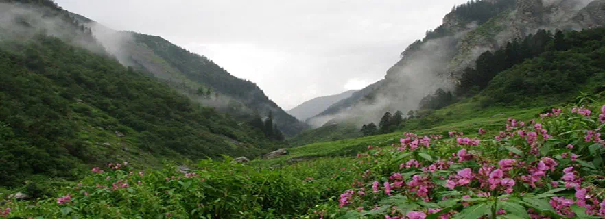 himalayan_national_park.webp