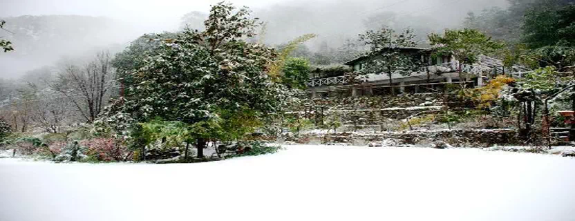 honeymoon_travel_agents_bhowali.webp