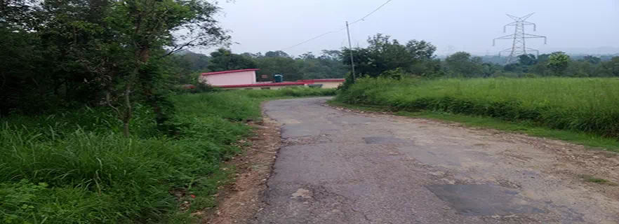 honeymoon_travel_agents_hamirpur.webp