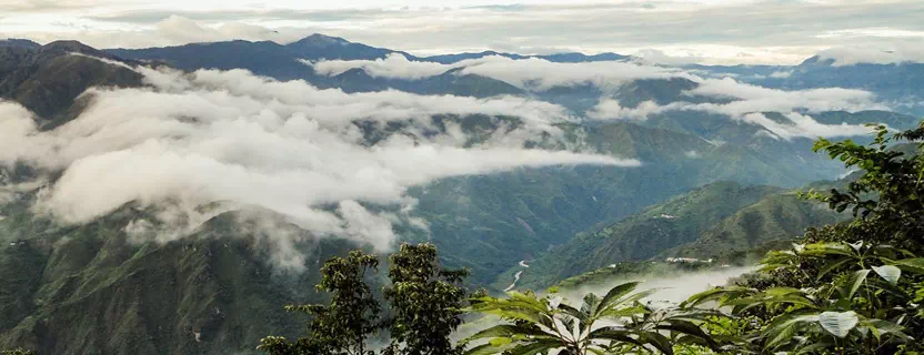 honeymoon_travel_agents_mussoorie.webp
