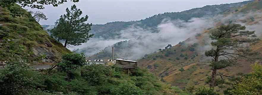 how_to_reach_kasauli.webp