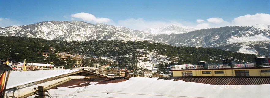 how_to_reach_mcleodganj.webp
