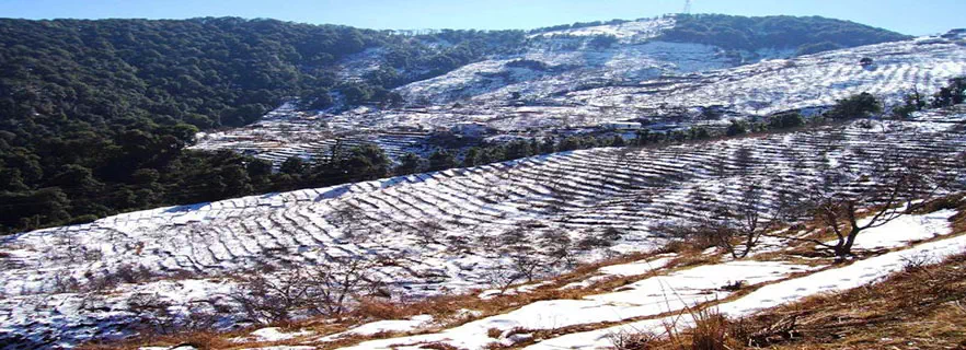 how_to_reach_ramgarh.webp