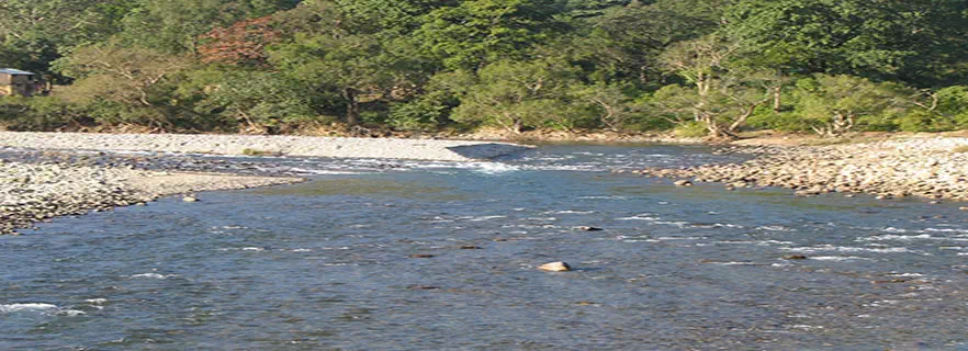 how_to_reach_ramnagar.webp