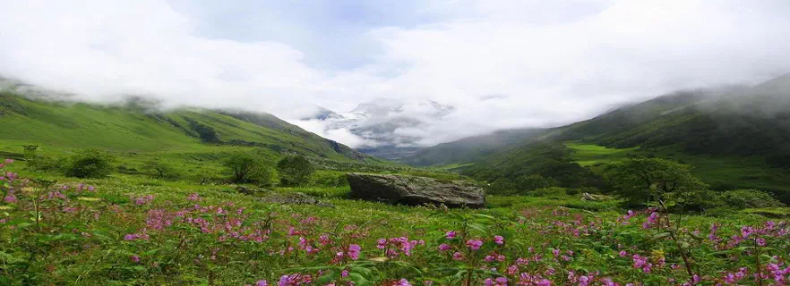 how_to_reach_valley_of_flowers.webp