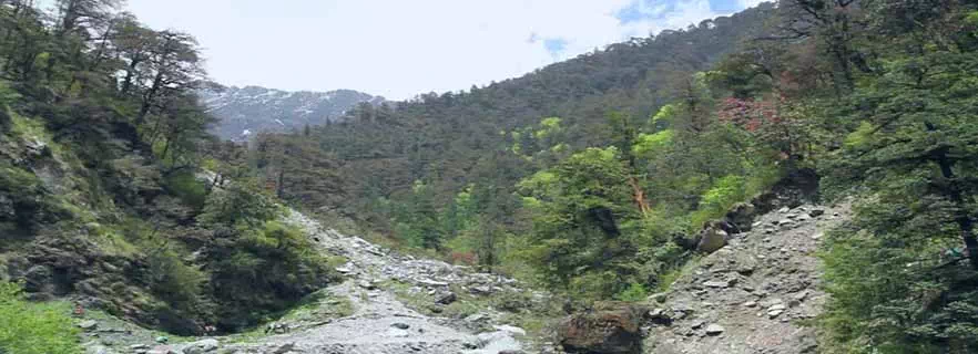 how_to_reach_yamunotri.webp