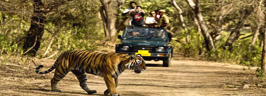 jeep-safari-in-mukteshwar.webp