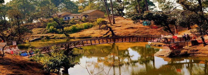 jungle-safari-in-lansdowne.webp