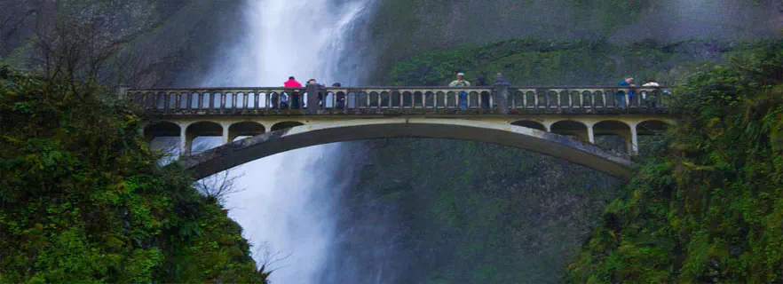 kaladhungi-nature.webp