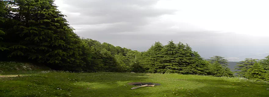kalatop_wildlifesanctuary.webp