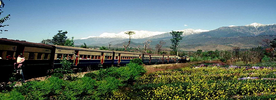 kangra_local_travel_agents.webp