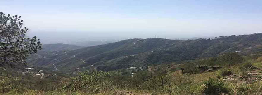 kasauli-nature.webp