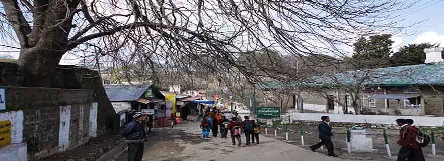 kasauli-shopping-places.webp