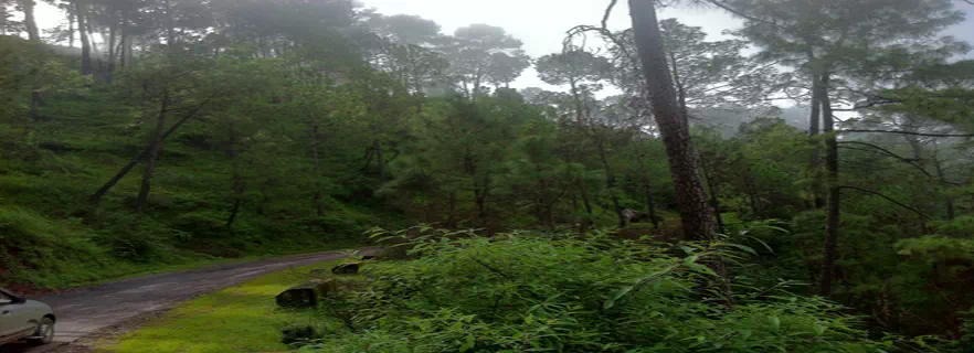 kasauli_travel_agents_tour_operators.webp