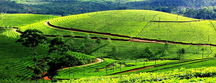 kausani-question-03.webp