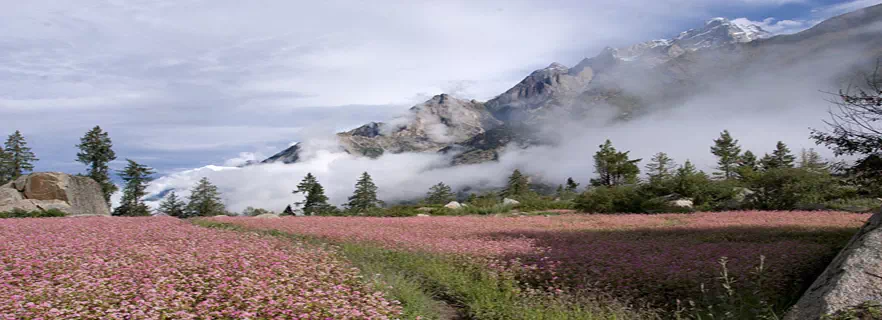 kinnaur_weather.webp