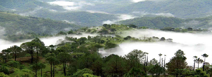 lansdowne-india-points-of-interest.webp