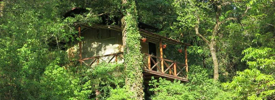 level-ii-rappelling-at-ayar-jungle-club-at-ayarpata-hills.webp