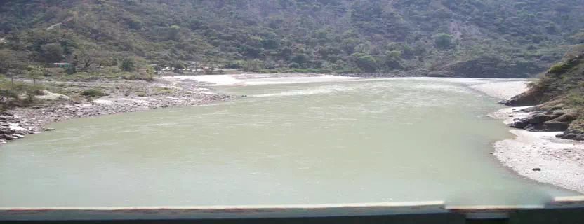 macchi_tal.webp