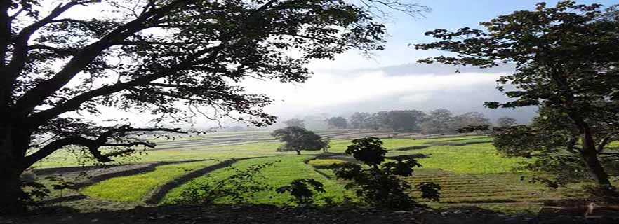 maletha-srinagar_garhwal.webp