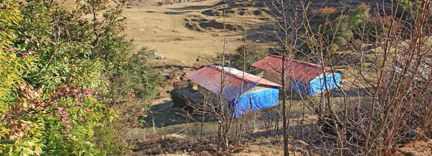 mayadeep-herbal-resort-chopta-gallery.webp