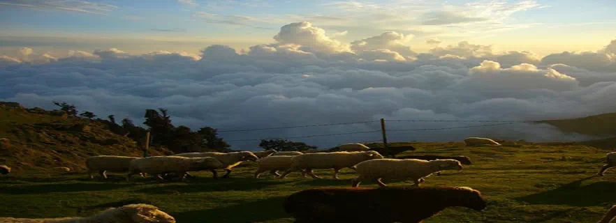 mcleodganj_weather.webp