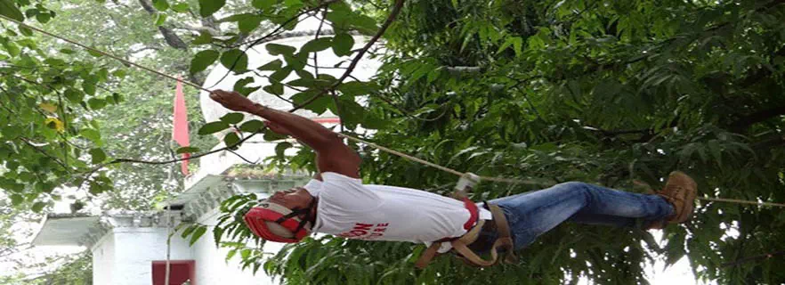 monkey-crawling-rudraprayag.webp