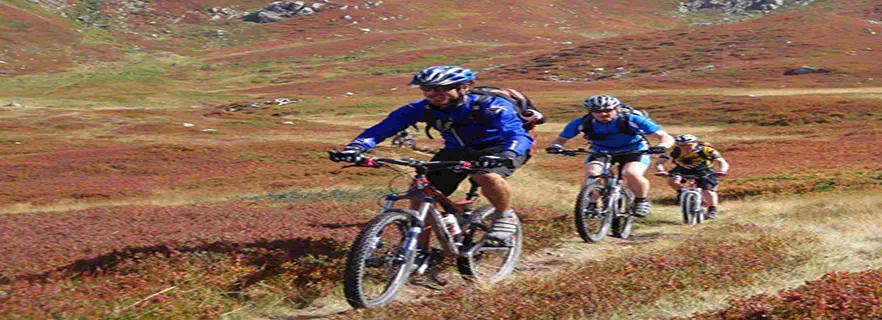 mountain-bike-kangra.webp