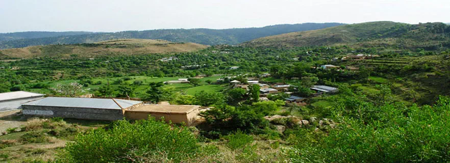 munsiyari-fun-activity.webp