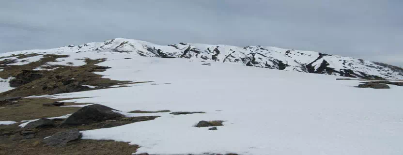 munsiyari_local_travel_agents.webp