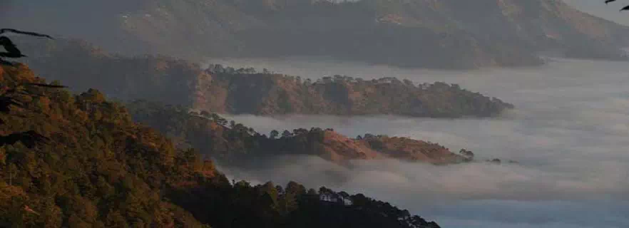 mussoorie-dmc.webp