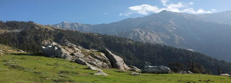 nadaun.webp