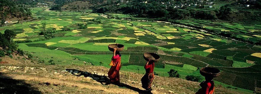 nainital-kausani-binsar-itinerary.webp