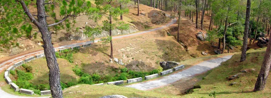 nainital-ranikhet-almora-kausani-tour-itinerary.webp