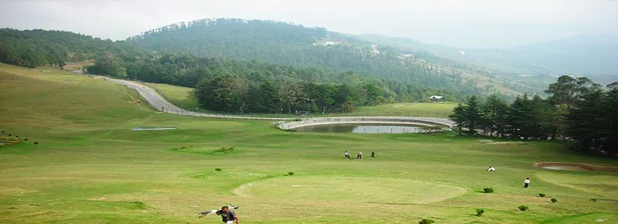 naldehra-golf-course-in-shimla.webp
