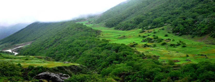 nanda_devi_national_park.webp