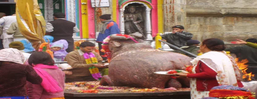 nandi_bull.webp