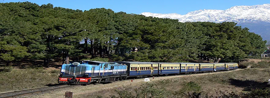 palampur_travel_agents_tour_operators.webp