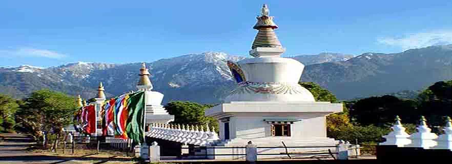 palpung-sherab-ling-religious-community-in-palampur.webp
