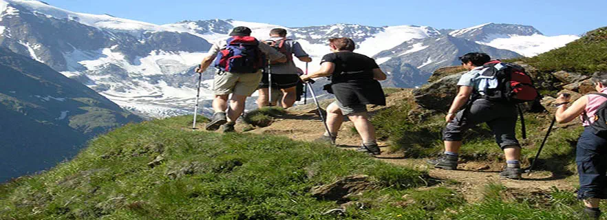 parwanoo-adventure-activities.webp
