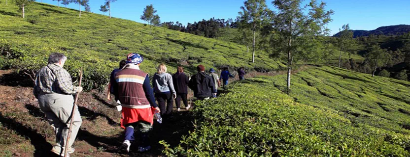 patal_bhuvaneshwar-adventure-activities.webp