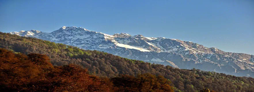 patal_bhuvaneshwar_weather.webp