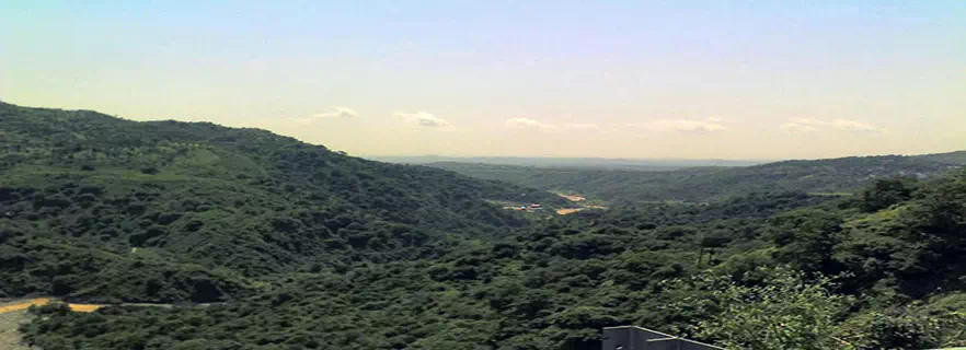 pinjor-parwanoo.webp