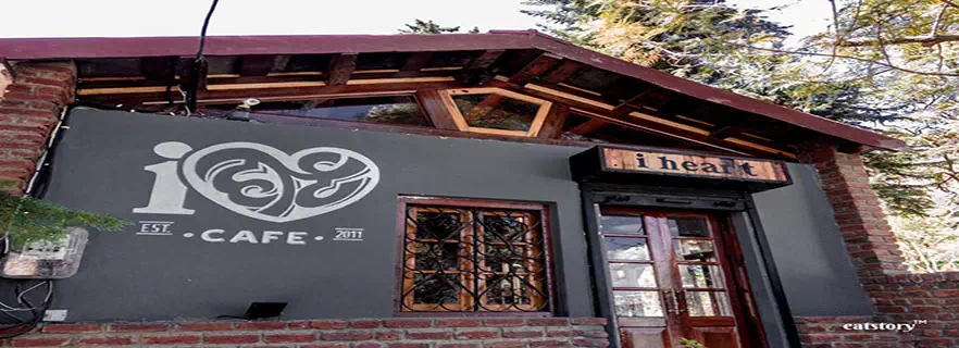 places-to-eat-in-Naukuchiatal.webp
