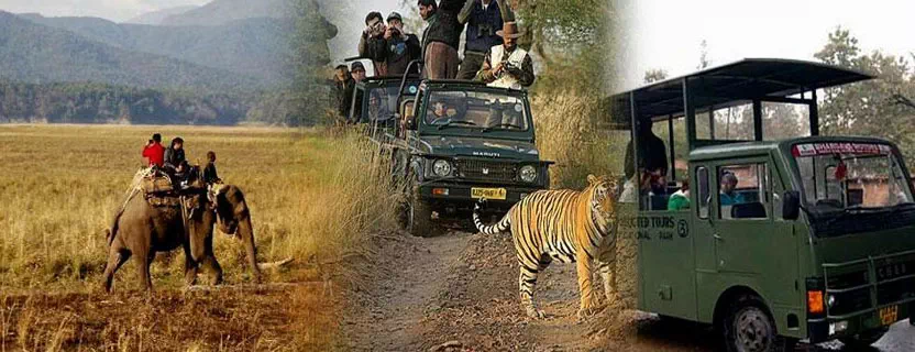 places-to-visit-in-Jim-corbett.webp